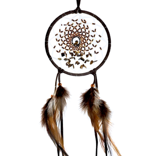 Energy Flow Dreamcatcher